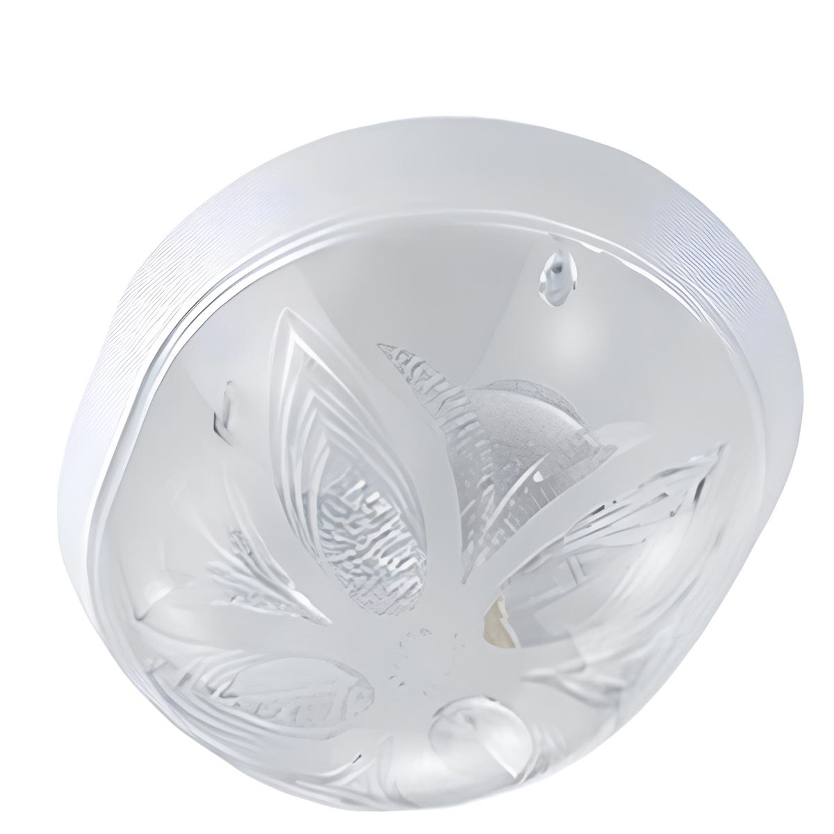 Comfort Şeffaf (Renkli) 2XE27 1